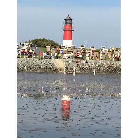 Buesumer Nest Comfortable